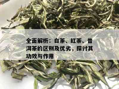 全面解析：白茶、红茶、普洱茶的区别及优劣，探讨其功效与作用