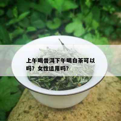 上午喝普洱下午喝白茶可以吗？女性适用吗？