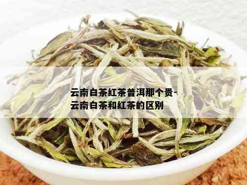 云南白茶红茶普洱那个贵-云南白茶和红茶的区别