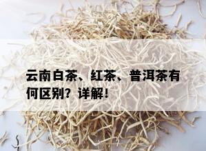 云南白茶、红茶、普洱茶有何区别？详解！