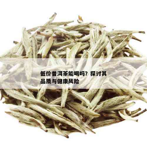 低价普洱茶能喝吗？探讨其品质与健康风险