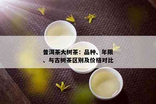 普洱茶大树茶：品种、年限、与古树茶区别及价格对比