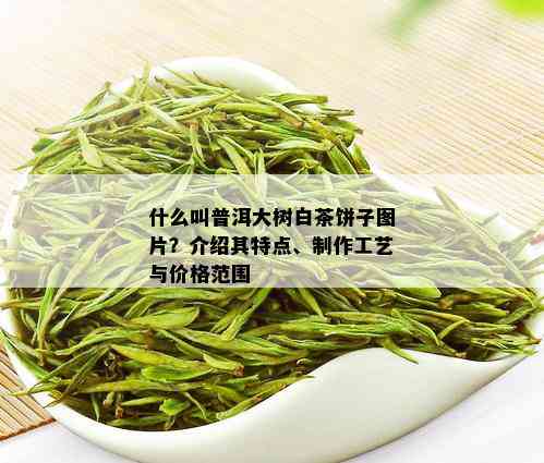 什么叫普洱大树白茶饼子图片？介绍其特点、制作工艺与价格范围