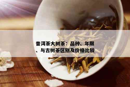 普洱茶大树茶：品种、年限、与古树茶区别及价格比较