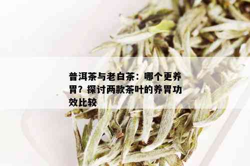 普洱茶与老白茶：哪个更养胃？探讨两款茶叶的养胃功效比较