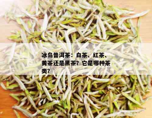 冰岛普洱茶：白茶、红茶、黄茶还是黑茶？它是哪种茶类？