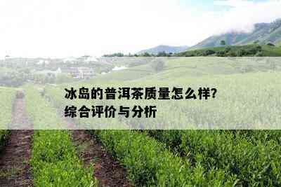 冰岛的普洱茶质量怎么样？综合评价与分析