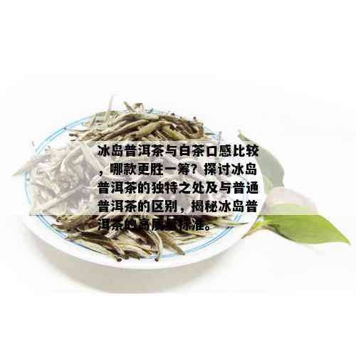 冰岛普洱茶与白茶口感比较，哪款更胜一筹？探讨冰岛普洱茶的独特之处及与普通普洱茶的区别，揭秘冰岛普洱茶的高质量标准。