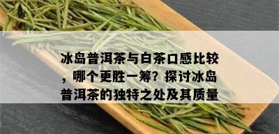 冰岛普洱茶与白茶口感比较，哪个更胜一筹？探讨冰岛普洱茶的独特之处及其质量