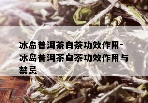 冰岛普洱茶白茶功效作用-冰岛普洱茶白茶功效作用与禁忌