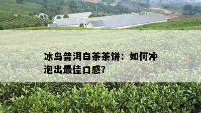 冰岛普洱白茶茶饼：如何冲泡出更佳口感？