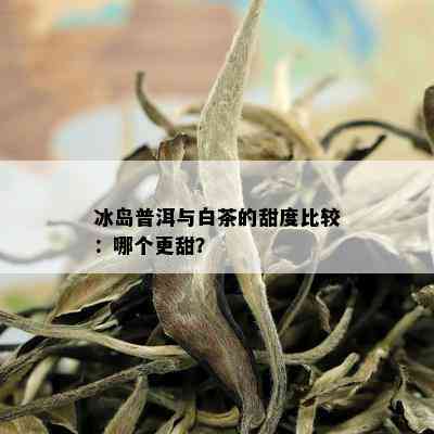 冰岛普洱与白茶的甜度比较：哪个更甜？