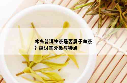 冰岛普洱生茶是否属于白茶？探讨其分类与特点