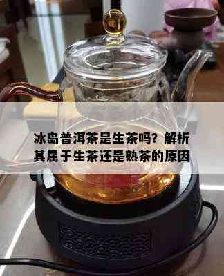 冰岛普洱茶是生茶吗？解析其属于生茶还是熟茶的原因