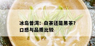 冰岛普洱：白茶还是黑茶？口感与品质比较