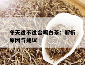 冬天适不适合喝白茶：解析原因与建议