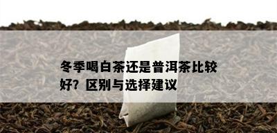 冬季喝白茶还是普洱茶比较好？区别与选择建议