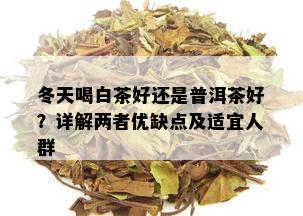 冬天喝白茶好还是普洱茶好？详解两者优缺点及适宜人群