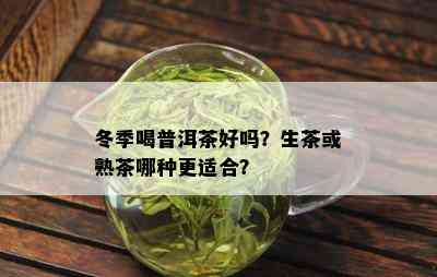 冬季喝普洱茶好吗？生茶或熟茶哪种更适合？