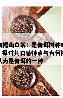 南糯山白茶：是普洱树种吗？探讨其口感特点与为何被认为是普洱的一种