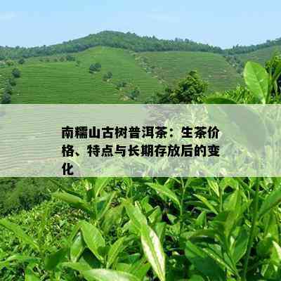 南糯山古树普洱茶：生茶价格、特点与长期存放后的变化