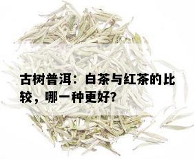 古树普洱：白茶与红茶的比较，哪一种更好？