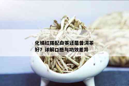 化橘红搭配白茶还是普洱茶好？详解口感与功效差异