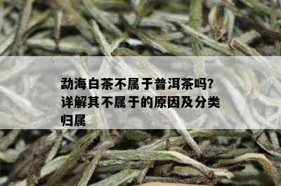 勐海白茶不属于普洱茶吗？详解其不属于的原因及分类归属