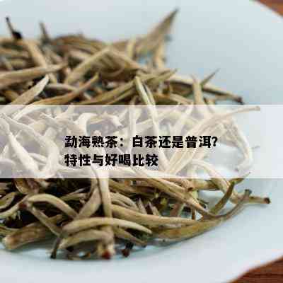 勐海熟茶：白茶还是普洱？特性与好喝比较