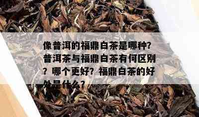 像普洱的福鼎白茶是哪种？普洱茶与福鼎白茶有何区别？哪个更好？福鼎白茶的好处是什么？