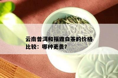 云南普洱和福鼎白茶的价格比较：哪种更贵？