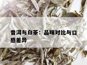 普洱与白茶：品味对比与口感差异