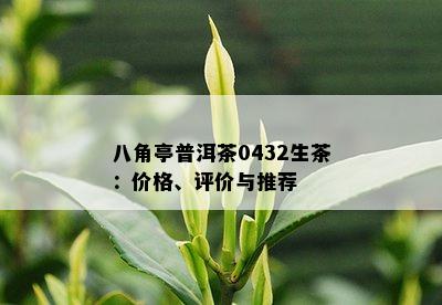 八角亭普洱茶0432生茶：价格、评价与推荐