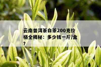 云南普洱茶白茶200克价格全揭秘：多少钱一斤/盒？