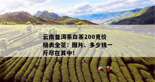 云南普洱茶白茶200克价格表全览：图片、多少钱一斤尽在其中！