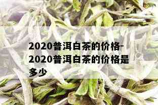 2020普洱白茶的价格-2020普洱白茶的价格是多少