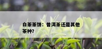 白茶茶饼：普洱茶还是其他茶种？