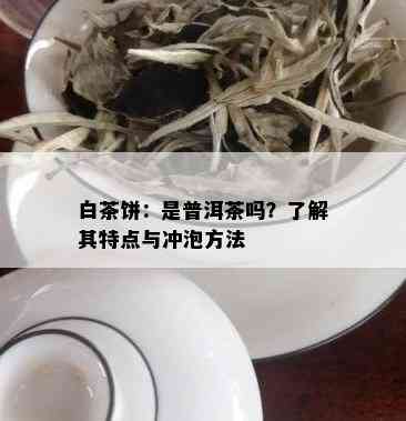 白茶饼：是普洱茶吗？了解其特点与冲泡方法