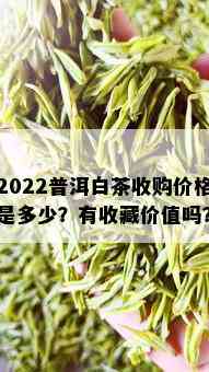 2022普洱白茶收购价格是多少？有收藏价值吗？