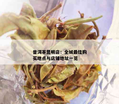 普洱茶昆明店：全城更佳购买地点与店铺地址一览