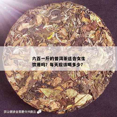 六百一斤的普洱茶适合女生饮用吗？每天应该喝多少？