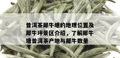 普洱茶犀牛塘的地理位置及犀牛坪景区介绍，了解犀牛塘普洱茶产地与犀牛数量