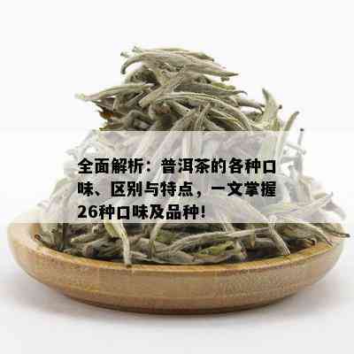 全面解析：普洱茶的各种口味、区别与特点，一文掌握26种口味及品种！