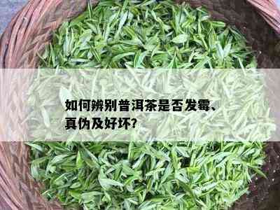 如何辨别普洱茶是否发霉、真伪及好坏？