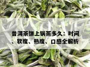 普洱茶饼上锅蒸多久：时间、软度、熟度、口感全解析