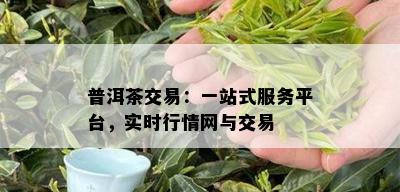 普洱茶交易：一站式服务平台，实时行情网与交易