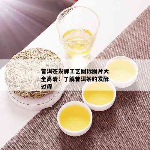 普洱茶发酵工艺图标图片大全高清：了解普洱茶的发酵过程