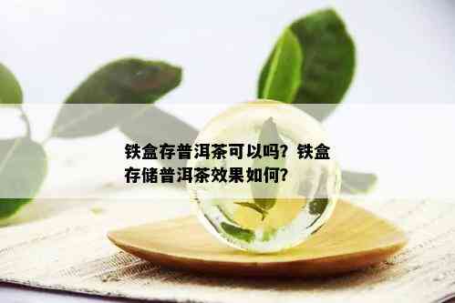 铁盒存普洱茶可以吗？铁盒存储普洱茶效果如何？