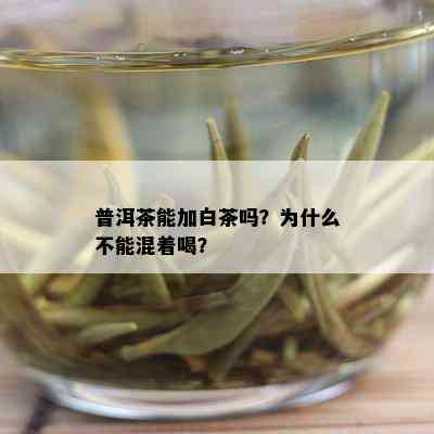 普洱茶能加白茶吗？为什么不能混着喝？