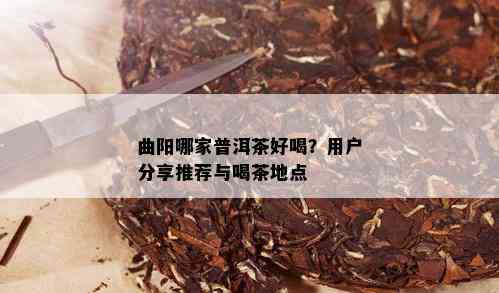 曲阳哪家普洱茶好喝？用户分享推荐与喝茶地点